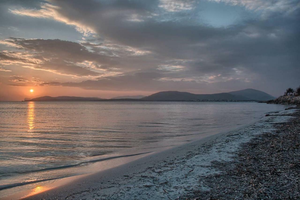 Zona Residenziale, Appartamento Incantevole Vista Mare Via Antonio Gramsci, 18, 07041 Alghero Ss Dış mekan fotoğraf